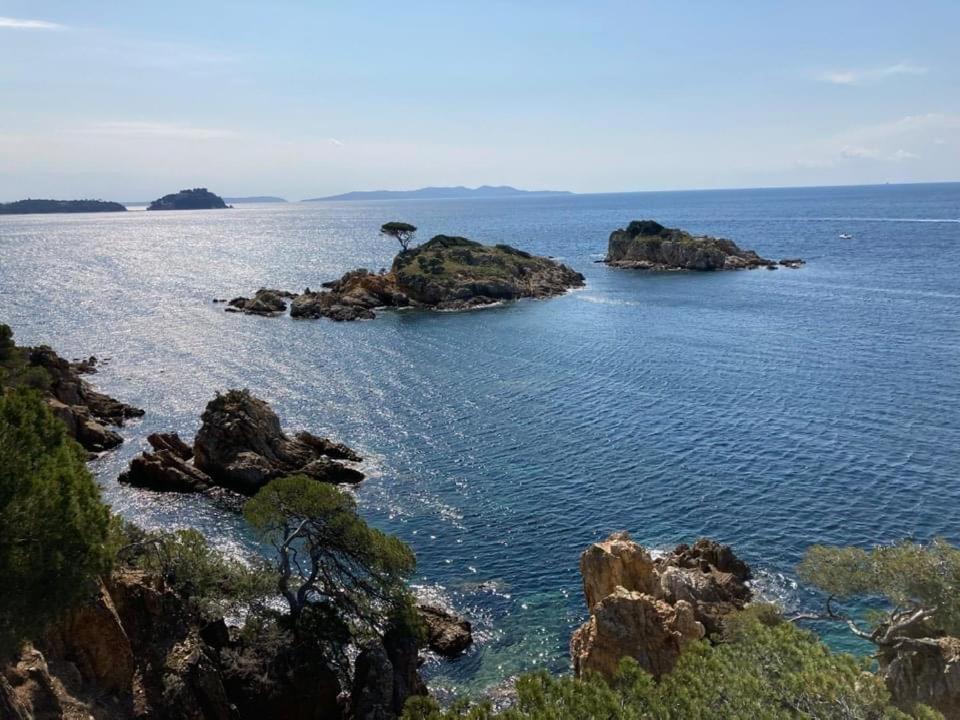 Atelierchic Bed & Breakfast Le Lavandou Eksteriør bilde